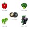 Wrapables 3D Resin Fridge Magnets, Food Simulation, Succulents, Famous Faces Refrigerator Magnets for Kitchen (Set of 5)